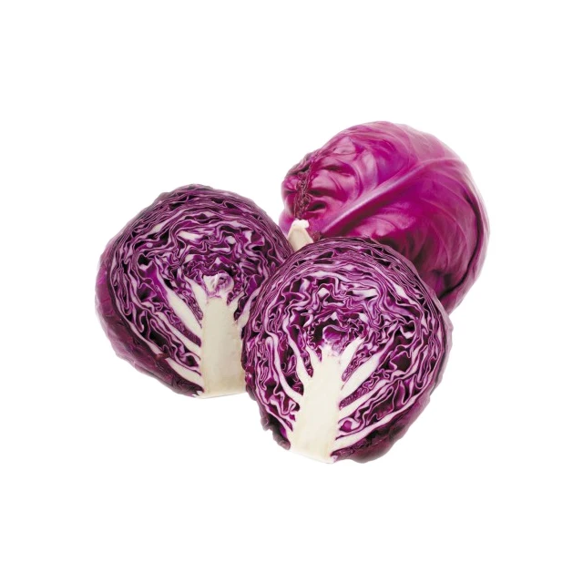 Fresh Red cabbage Wholesale from Vietnam with high quality and cheap price, 100% from natural