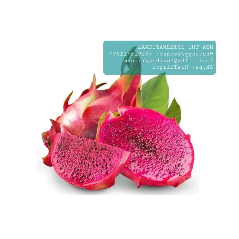 High Quality and Best Price Red Flesh 350-600gram Vietnam US, EU, ASIA Market Sweet Taste Fresh Dragon Fruit