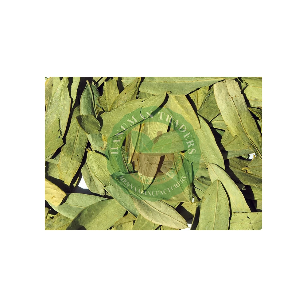 Pure Original Senna Leaves And Pods For Tea Industries Buy From International Exporter From India