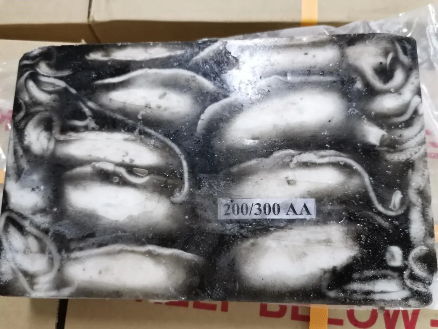 Special 9KG/CTN Weight Frozen Whole Round Cuttlefish For Sale With Best Price From Malaysia