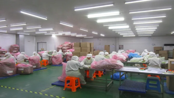 
Uganda Washed Arabica Green Bean Coffee 