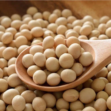 Питательные соевые бобы без ГМО оптом