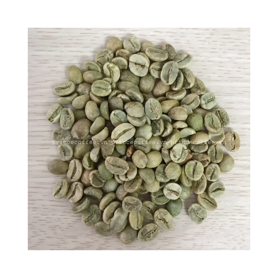  Вьетнамский кофе 100% зеленые кофейные зерна оптовая продажа зеленый в зернах Arabica