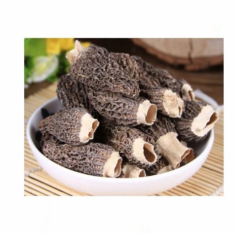 Wholesale Morel Mushrooms Flower Mushrooms for Sale