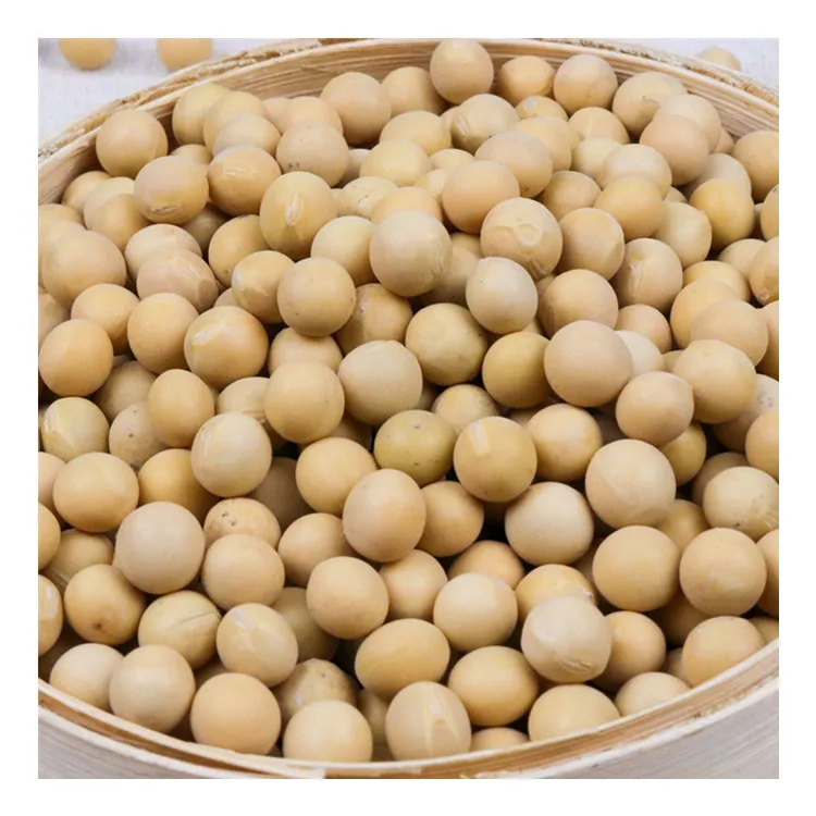 Soy Beans non GMO from Ethiopia - Soya beans for human consumption