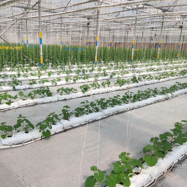 Hot selling Organic Coco Peat Grow Bag for Commercial greenhouse planting Coir Flat grow bag manufacturer from Vietnam