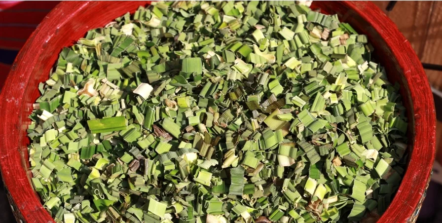 (Органический) Порошок Листьев пандана (1000 г) тайский травяной экстракт-Оптовая продажа-Индивидуальный размер упаковки и дизайна (продукт из Таиланда)