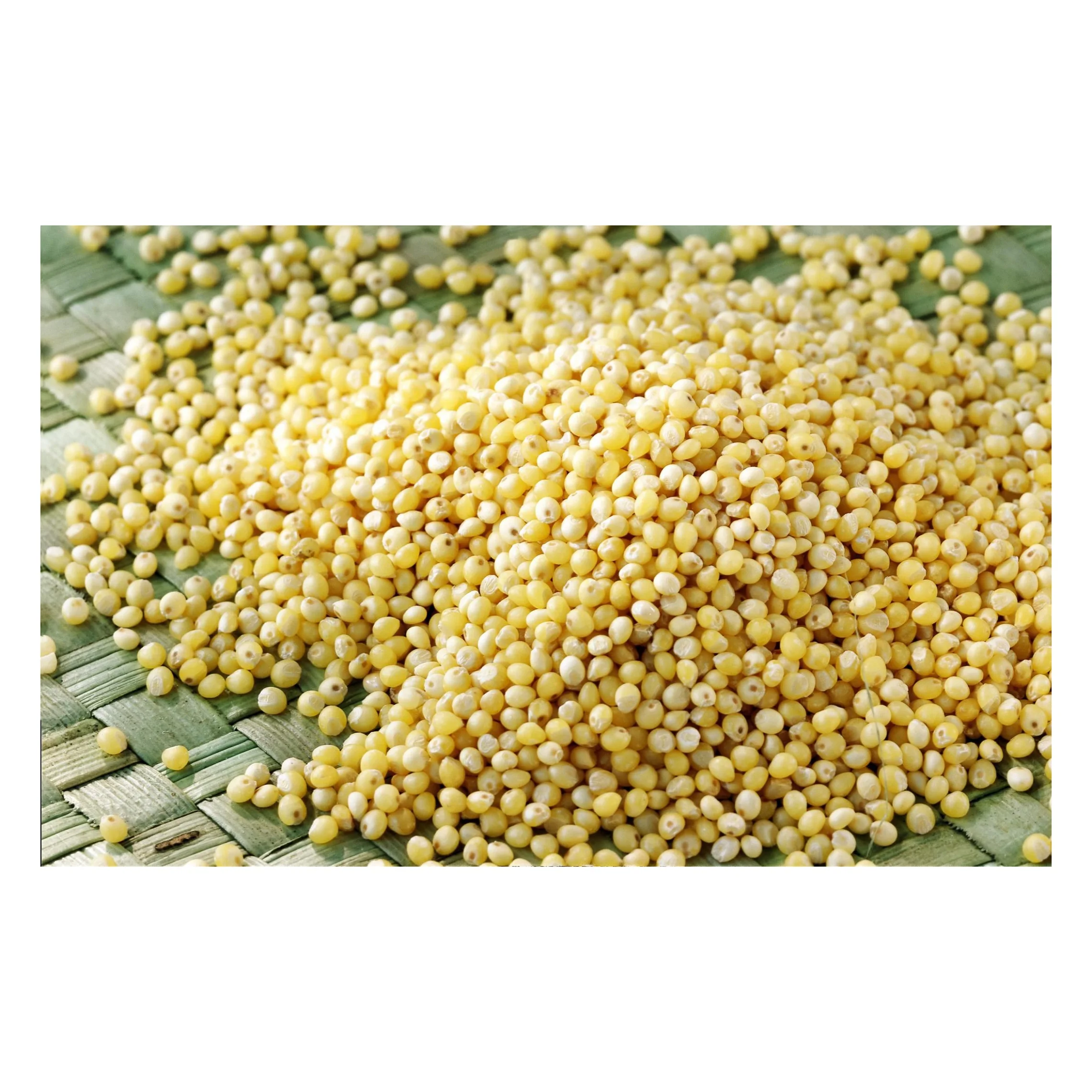 Натуральное желтое зерно проса, экспортные цены