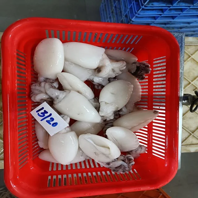 Высококачественная замороженная рыба, полностью очищенная из Индии