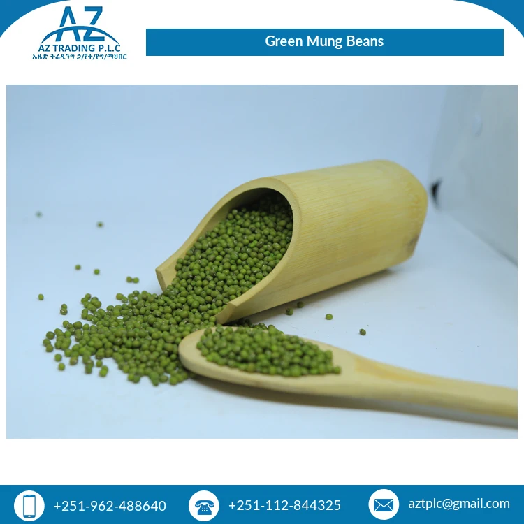 Premium Quality Wholesale Supply Best Selling Natural Fresh Ethiopian Green Mug Beans at Best Price