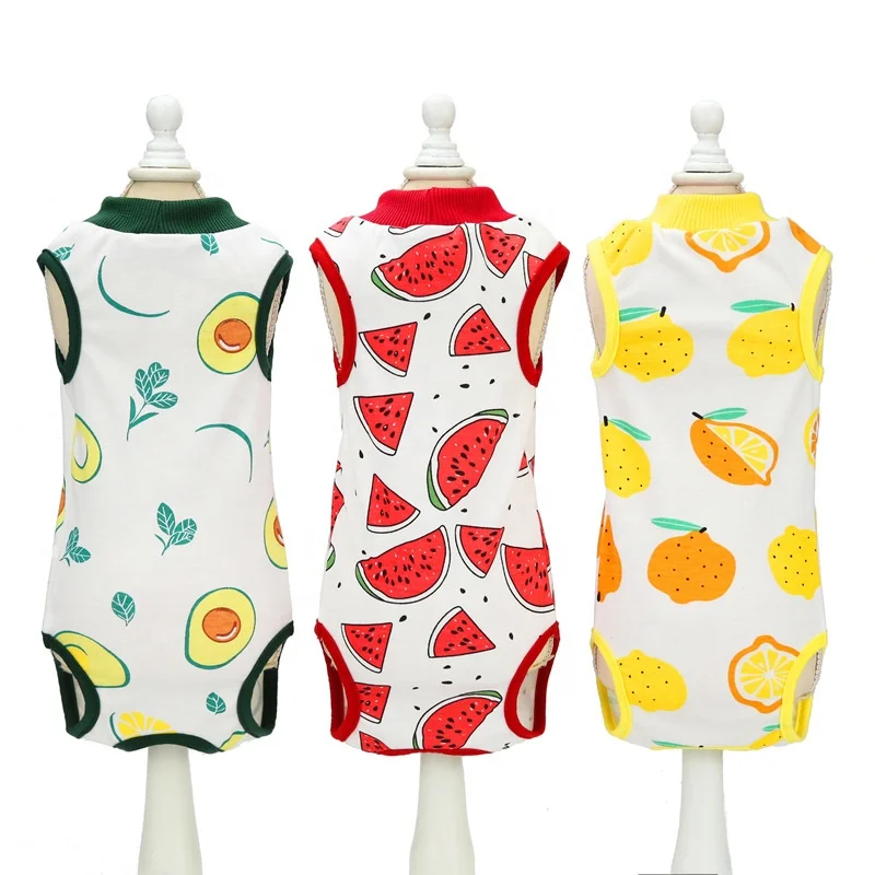 Pet recovery clothes cute design fruit Watermelon,cat recovery suit wholesale anti-licking cat apparel sterilization clothes