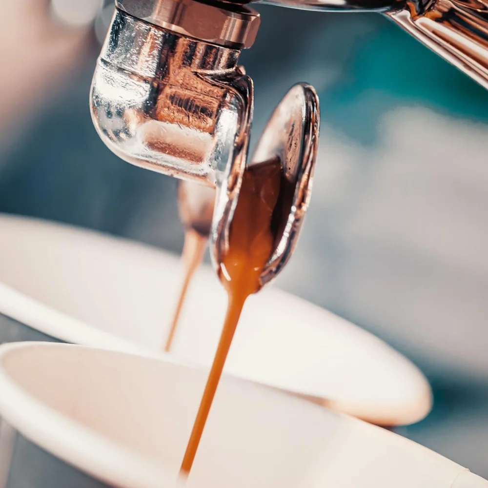 Premium Quality Castorino Whole Bean Coffee MISCELA SUBLIME 60% Arabica for home / HO.RE.CA.