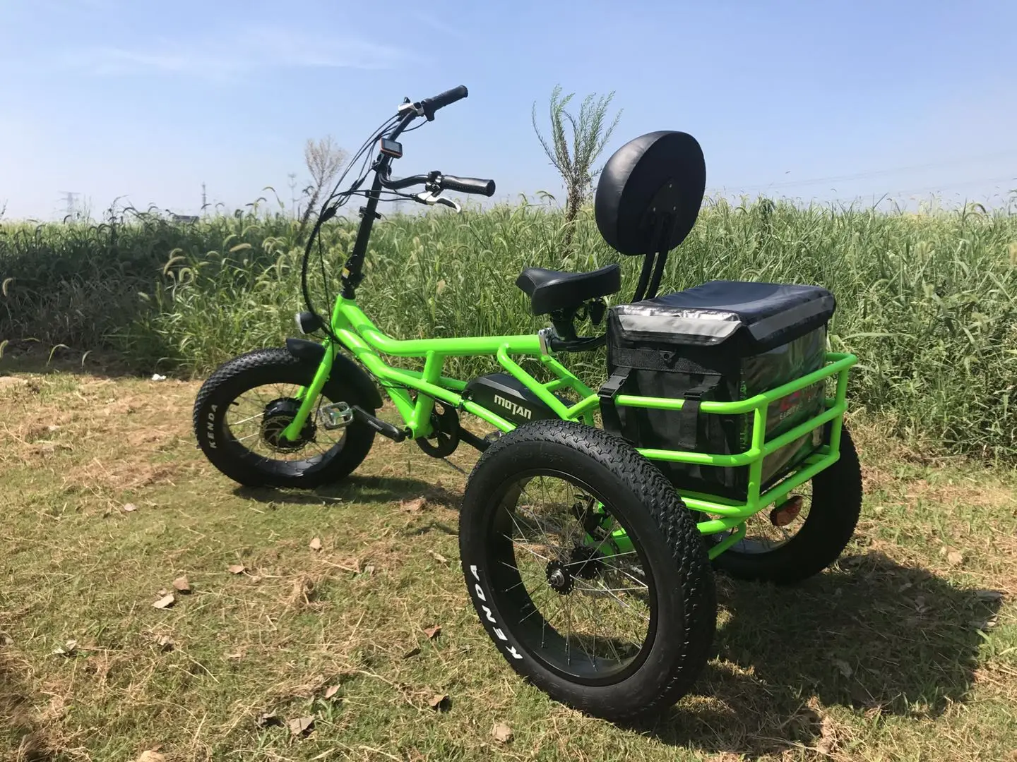 Трехколесный электрический велосипед высокой мощности с толстыми шинами Greenpedel 48 в 500