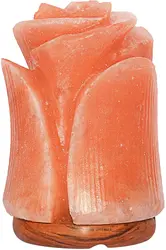 Himalayan Glow Wide Hand Carved, Natural Globe Salt Lamp