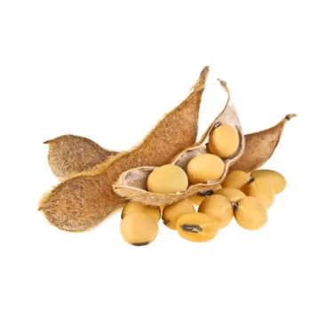 
Russian wholesale soybeans, agriculture product 