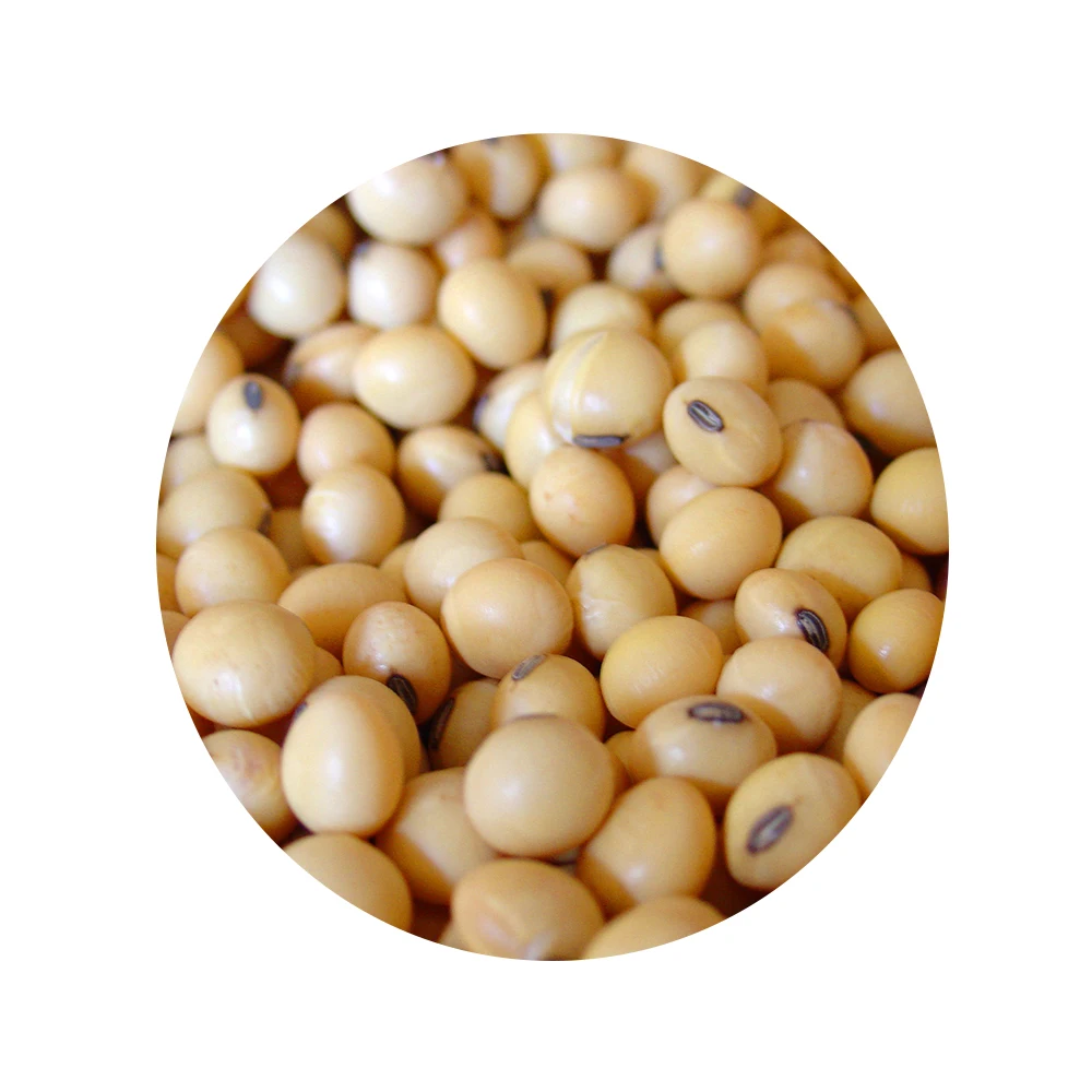 Органические соевые семена без ГМО из Индии