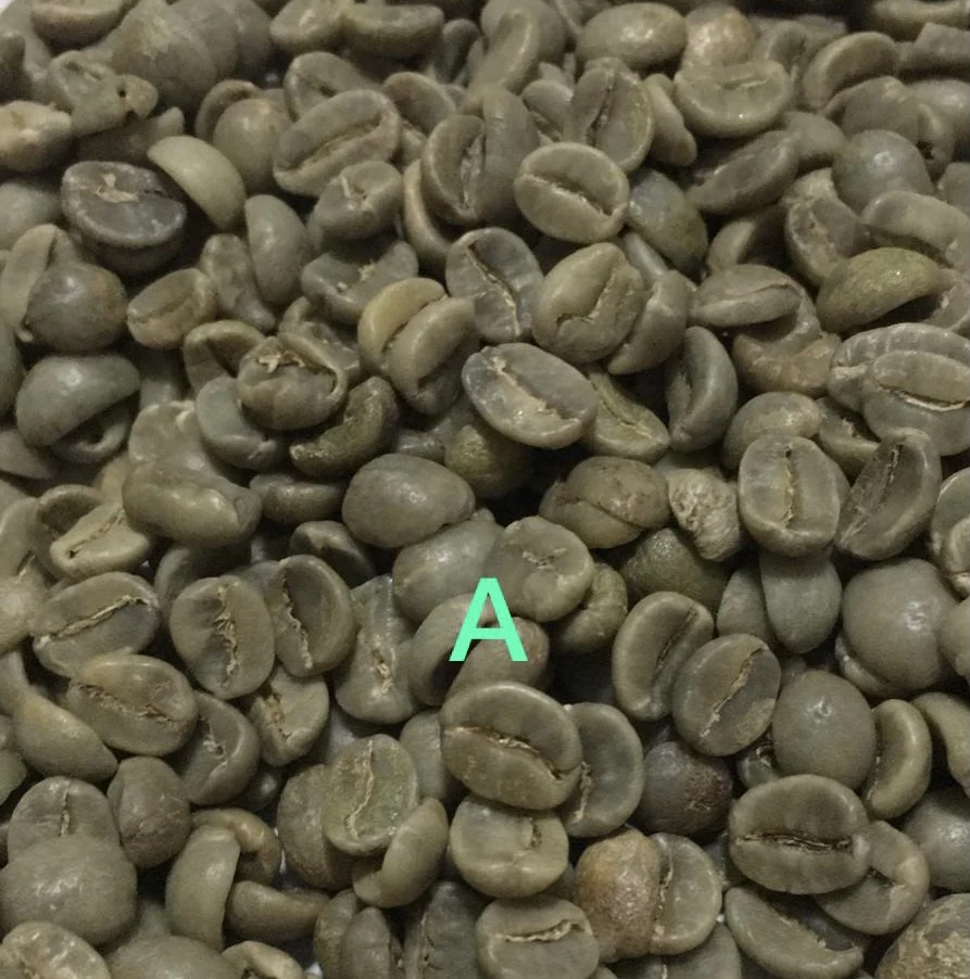 High quality premium 100% Arabica - green coffee beans