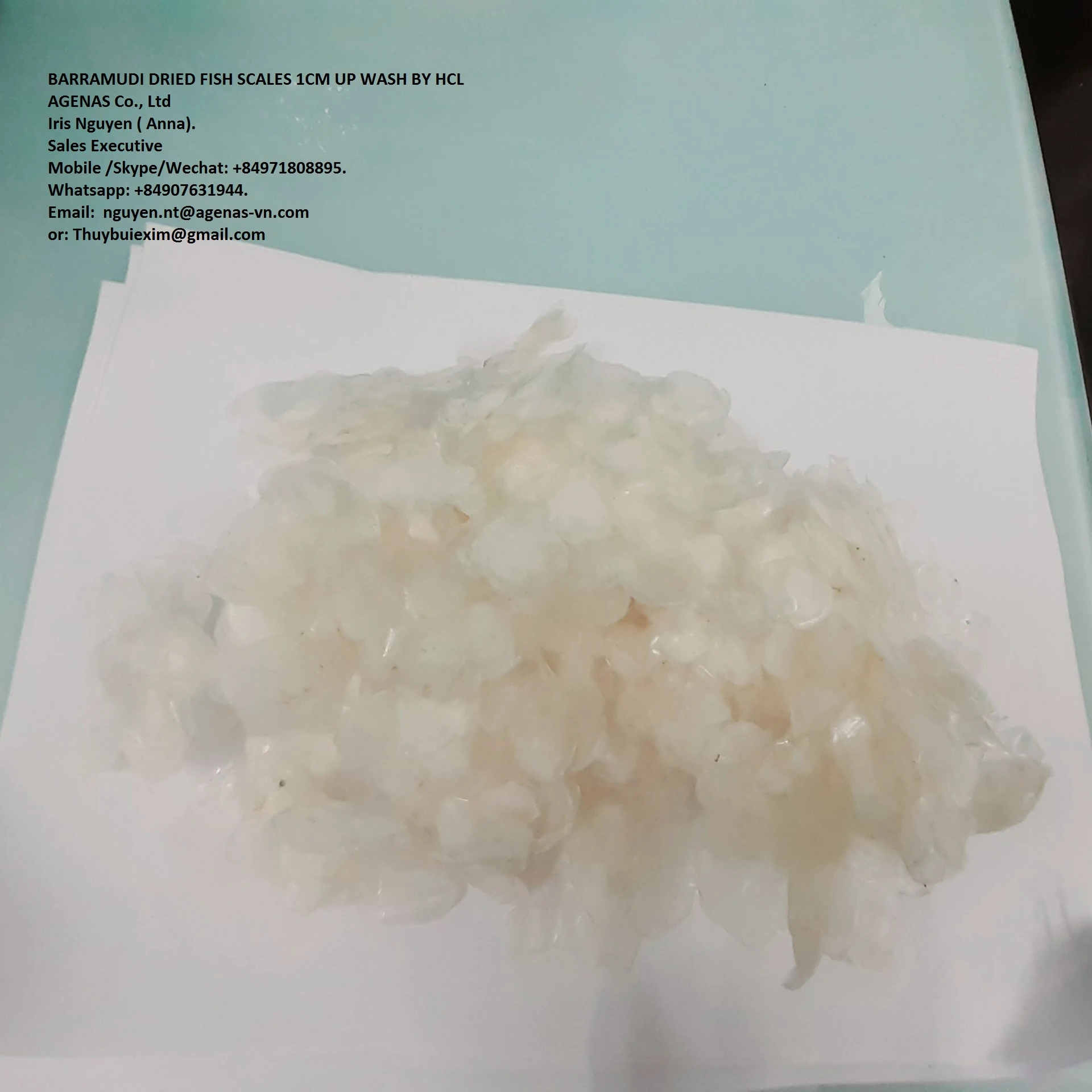 DRIED FISH SCALES WITH BULK | SNAKEHEAD - TILAPIA - SEA BASS FISH SCALES SO CHEAP | FOLLOW CUSTOMER REQUIREMENTS