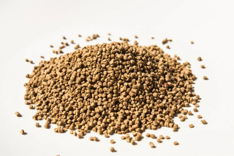 High Protein Decapsulated Fish feed Artemia cysts fish meal Brine Shrimp Eggs Artemia Cysts