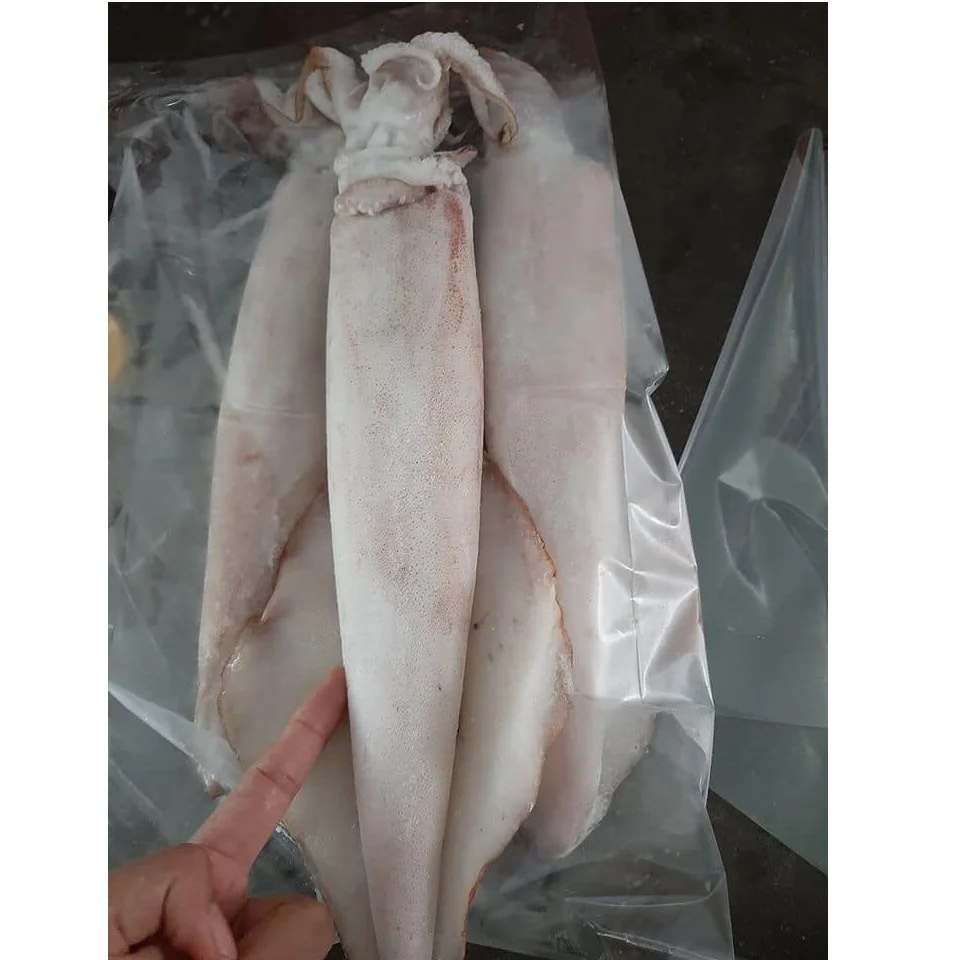 Hot Selling Fresh Natural Seafood Low-Fat Air-Dried Customizable Tough Tender Dried Squid For Cook From Private Label In Vietnam
