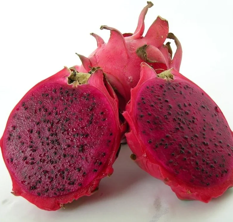 Fresh Organically Certified Dragon Fruit