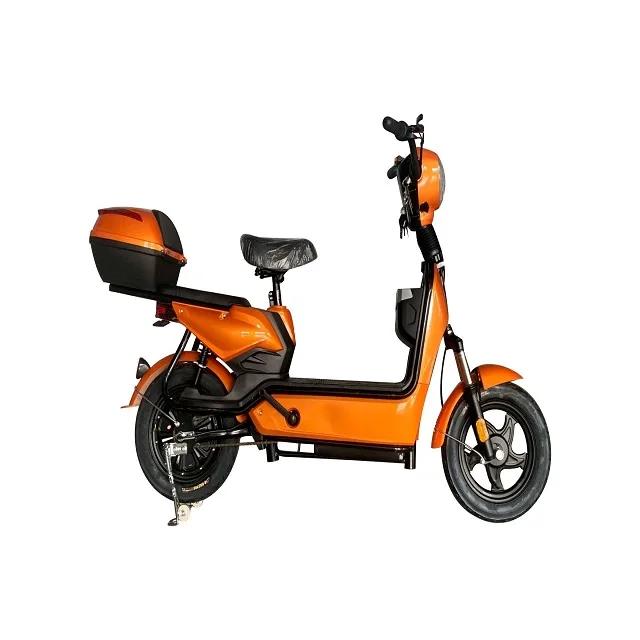 2021 750W 1000W Motor E-Bike Fat Tire Mountain bike Fatbike electric bicycle bike