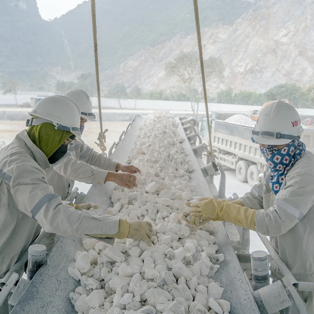 Vietnam Supplier Premium Quality Quick Lime Powder Canxi Oxide CaO min 88%