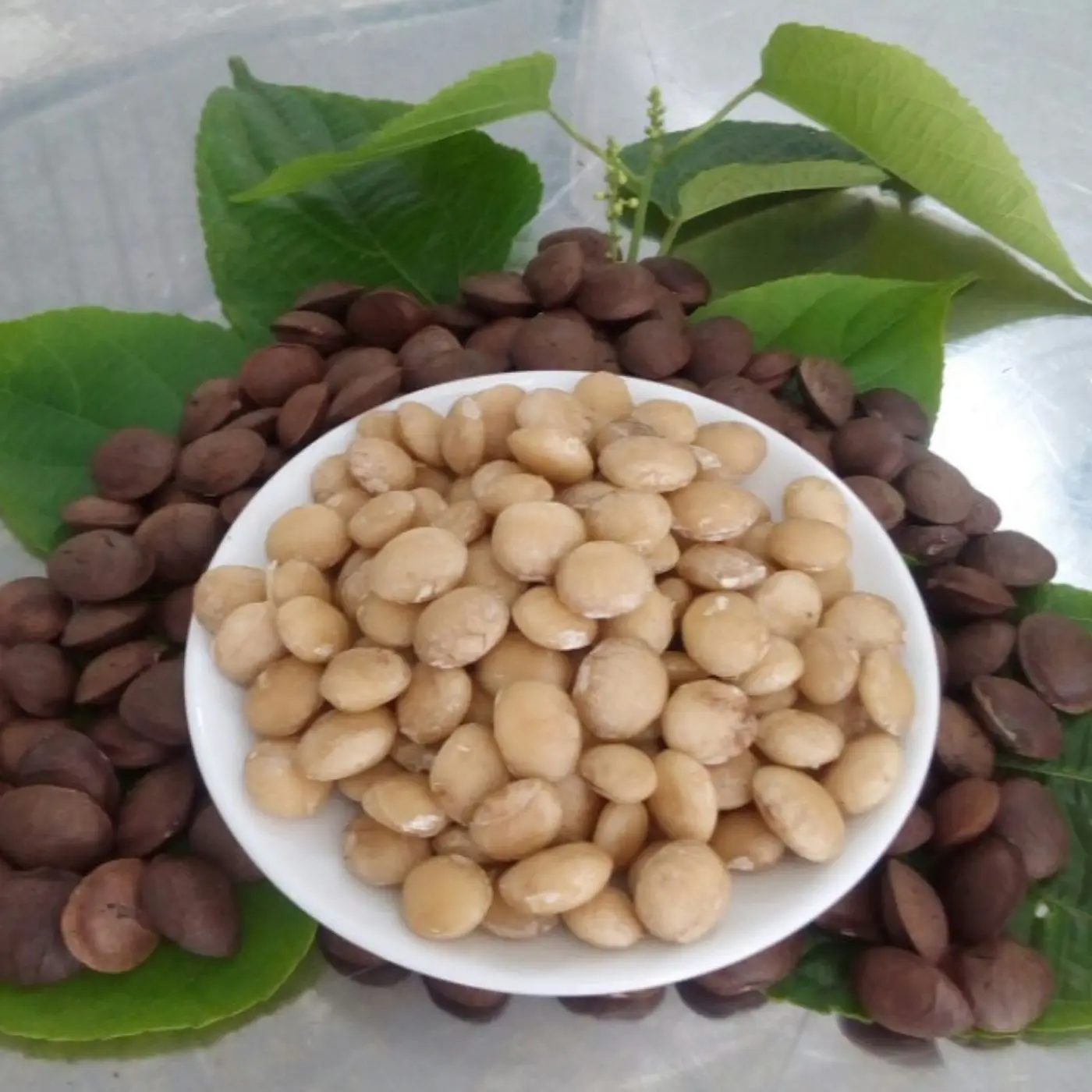 Высококачественный сушеный орех сачи/лучший выбор для вашего здоровья-Хелен + 84 374 288