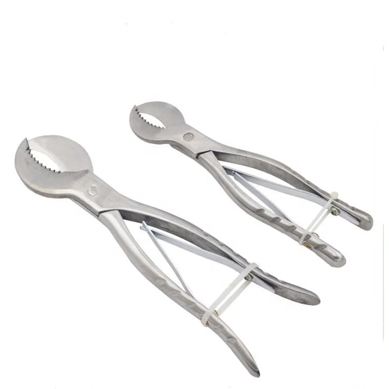 Top Value Stainless-Steel-Forceps-Instrument Gypsum Dental-Plaster-Shears-Scissiors-Dentist-Lab-Tools