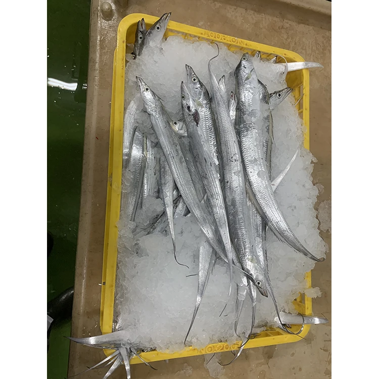 
Frozen Whole Ribbon Fish For Sale High Quality 
