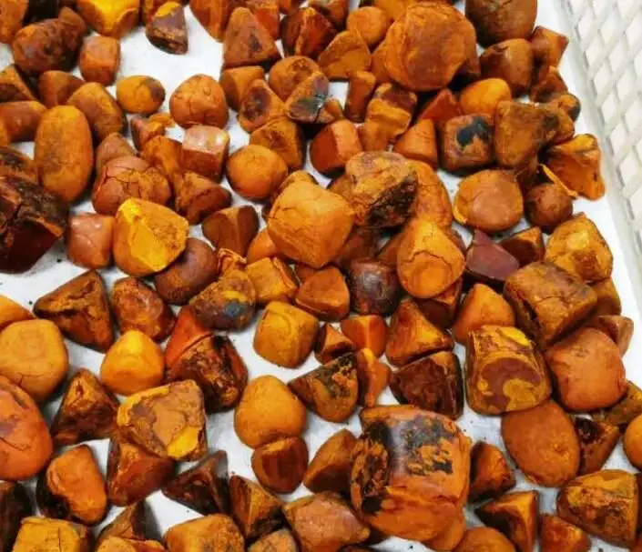 Желчный камень бычьей коровы из Боливии желчный бычьего рогатого скота