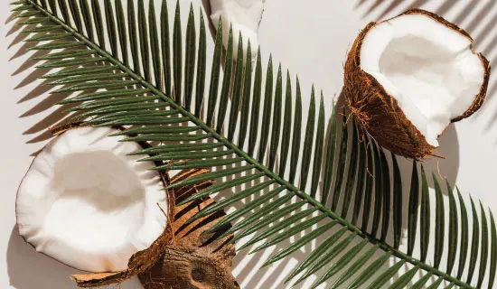 Healthy Low GI 100% Natural Organic Coconut Sugar Singapore Supplier Coconut Granulated Palm Sugar Super Foods from Indonesia