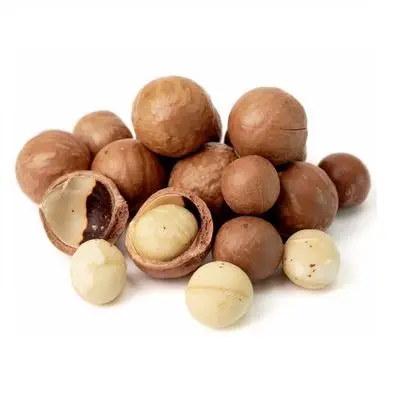 Оптовая продажа орехов макадамии