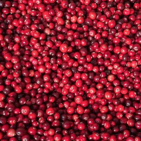 Cranberries fruit for sale
