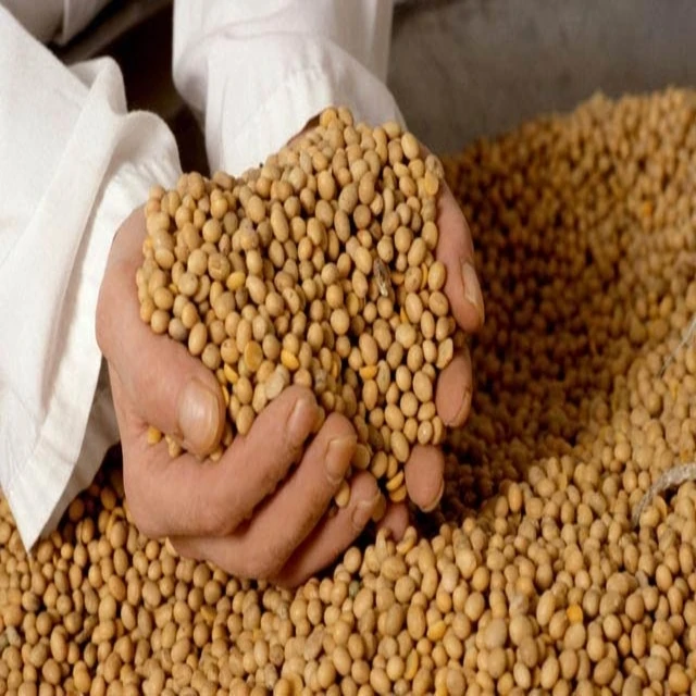 
Soya bean meal for animal feed Certified Organic soybean meal 