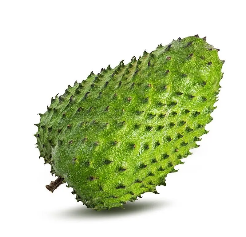 WHOSALE FRESH SOURSOP FRUIT HIGH QUALITY FROM VIETNAM/ SWEET AND SOUR TASTE FRUIT/ GOOD FOR HEALTHY - AXEL + 84 38 776 0892
