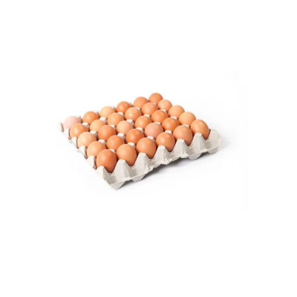 Best Selling Chicken Eggs Cobb 700 Cobb 500 Ross 308 Fertile Hatching Eggs