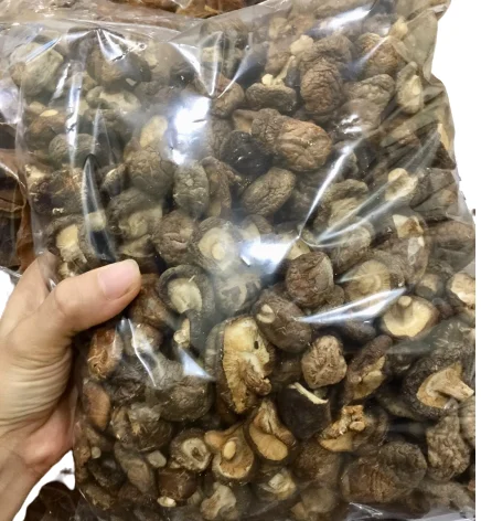 Organic Dried Food 2021 Wholesale Price New Crop Shitake Mushroom Hot Sale Vietnamese High Quality Dried Shitake Mushroom