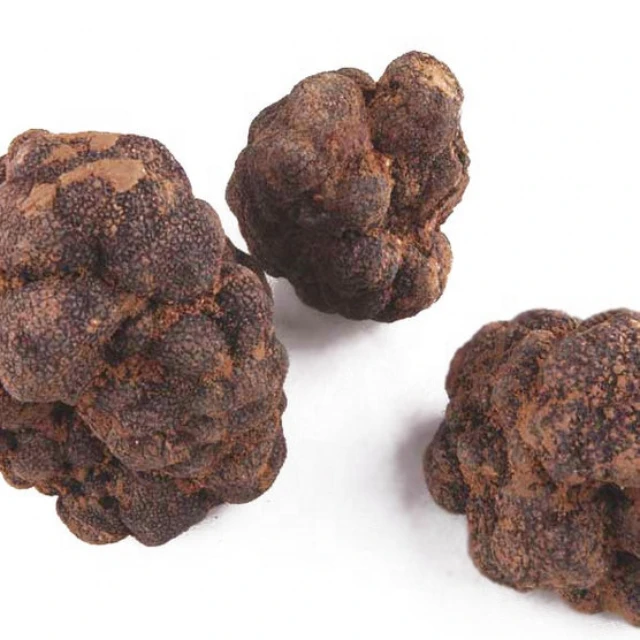
Wholesale Fresh Frozen Wild Black Truffles from Yunnan China Tuber Melanosporum fresh truffles Younium Fresh Matsutake Mushroom 