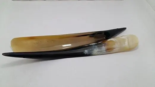shoe horn1
