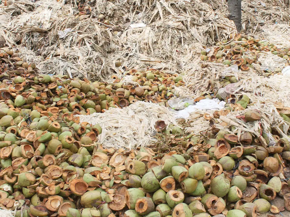 COCONUT SHELL VERY CHEAP PRICE