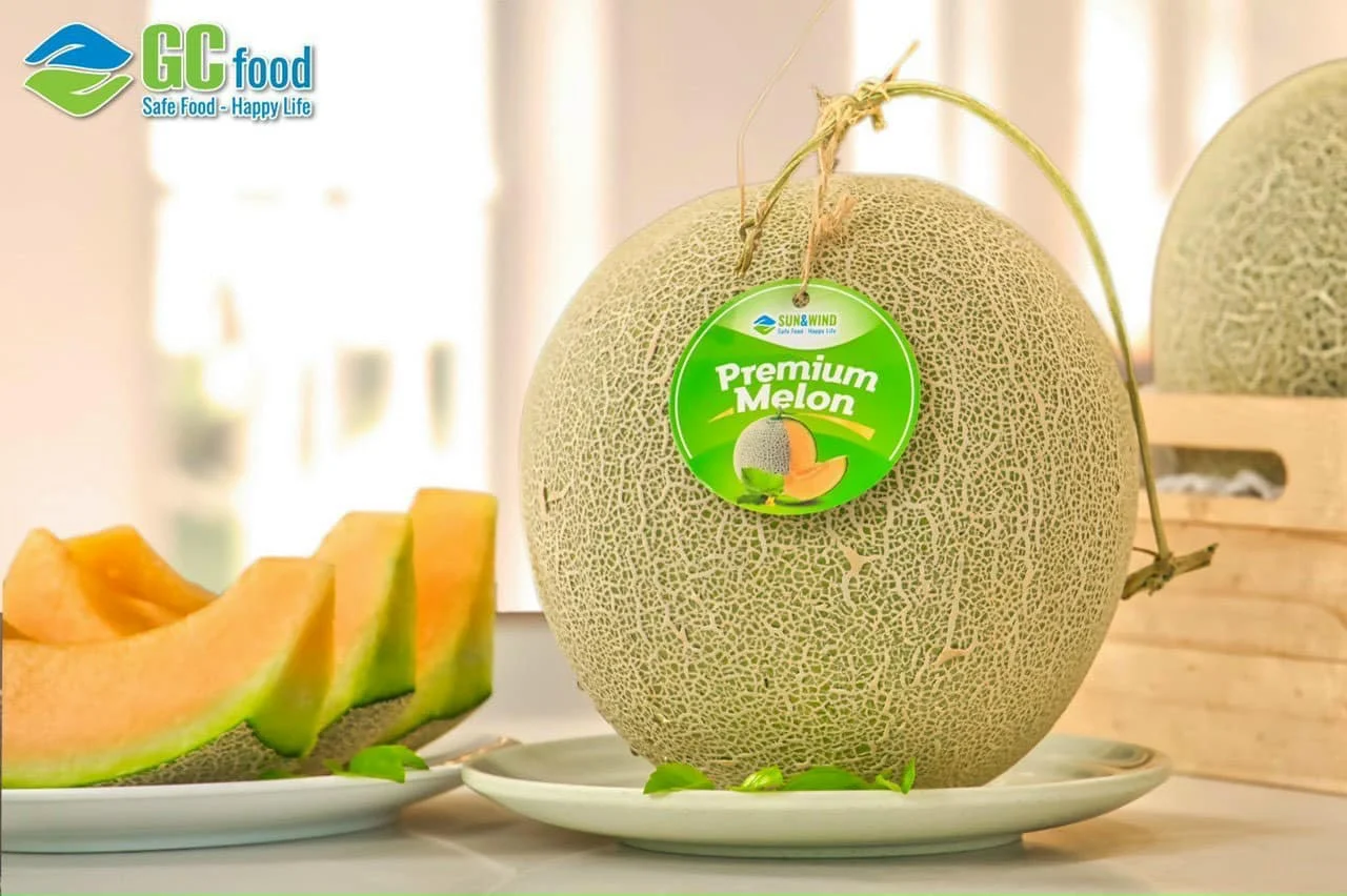FRESH SWEET CANTALOUPE - Melon Sweet Organic Natural Fresh Fruits 100% Maturity from Viet Nam