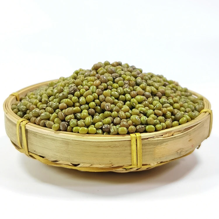  Оптовая продажа мелкие зеленые граммы фасоль виноградной фасоли мунг оптом