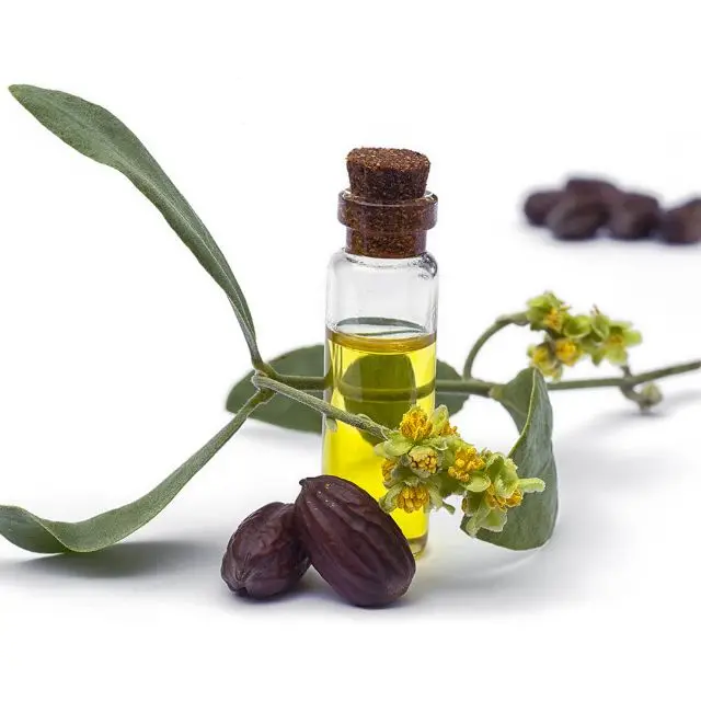 Premium quality natural organic jojoba oiluse for sunburn relief from India
