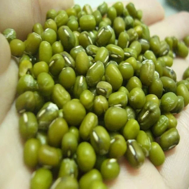 
FRESH GREEN MUNG BEANS 2020 