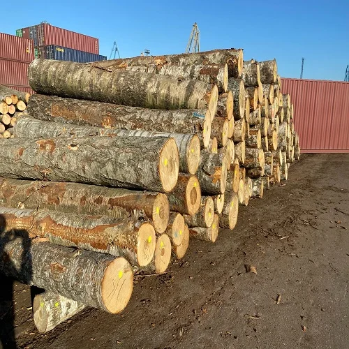 European Beech Log and Lumbers for sale