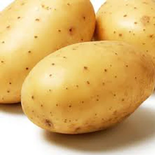 2020 New Cultivation Fresh Yellow Skin Potato from Bangladesh in Wholesale Price