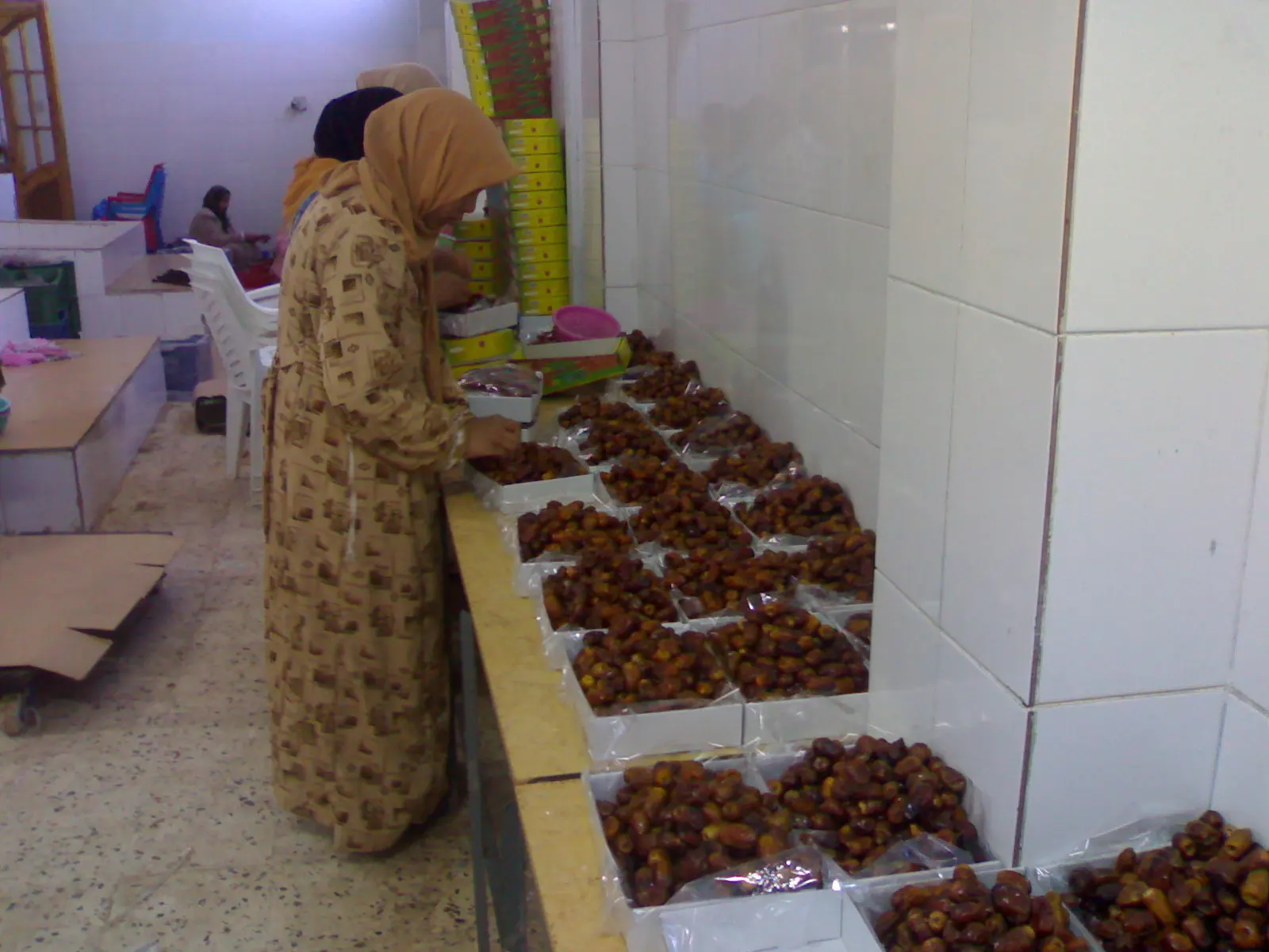 First Class New Season High Quality DATES FRUIT Available for export at a Cheaper FOB price