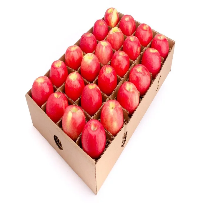 US Grown Fruit Green APPLE GRANNY SMITH Robinson