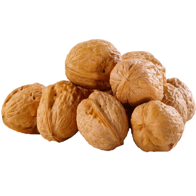 
China Xinjiang Wholesale Price For Sale Kernel Walnuts In Shell High Quality Ybv 185 Unwashed Thin-skinned Walnut In Shell 